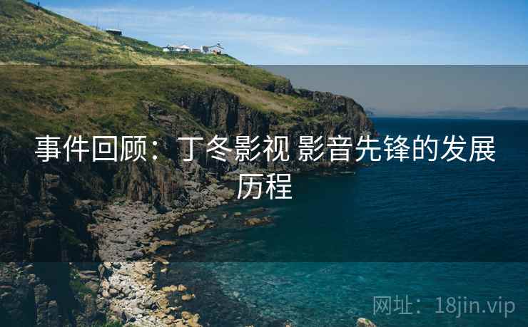 事件回顾：丁冬影视 影音先锋的发展历程