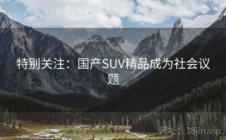 特别关注：国产SUV精品成为社会议题